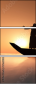 57620938