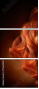57663589