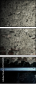 57784574
