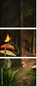 57861816