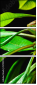 57907029