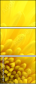 57915870