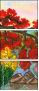 57983617