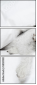 58139081