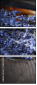 58289530