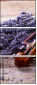 58289671