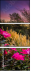 58441335