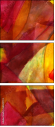 58509774