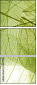 58647115