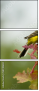 58740604