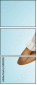 58845034