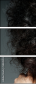58845542