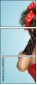 58893273