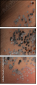 58896407
