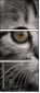 58977217