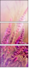 58998785