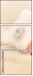 59056429
