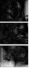 59435794