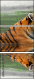 59476374