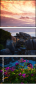 59476911