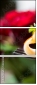59513928
