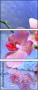 59560560