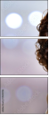 59618096