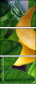 59633815