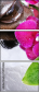 59704886