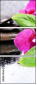 59767586
