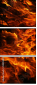 59859879