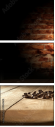 59869618