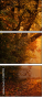 59871115