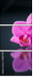 59897994