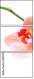 59913982