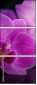 59923716