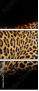 59934153