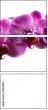 60209839