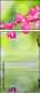 60212594
