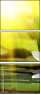60275600