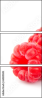 60281045