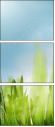 60450374