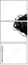 60462975