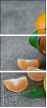 60530401
