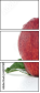 60597899