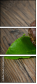 60636544