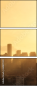 60817031