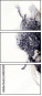 60831429