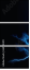 60913301