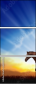 60981945